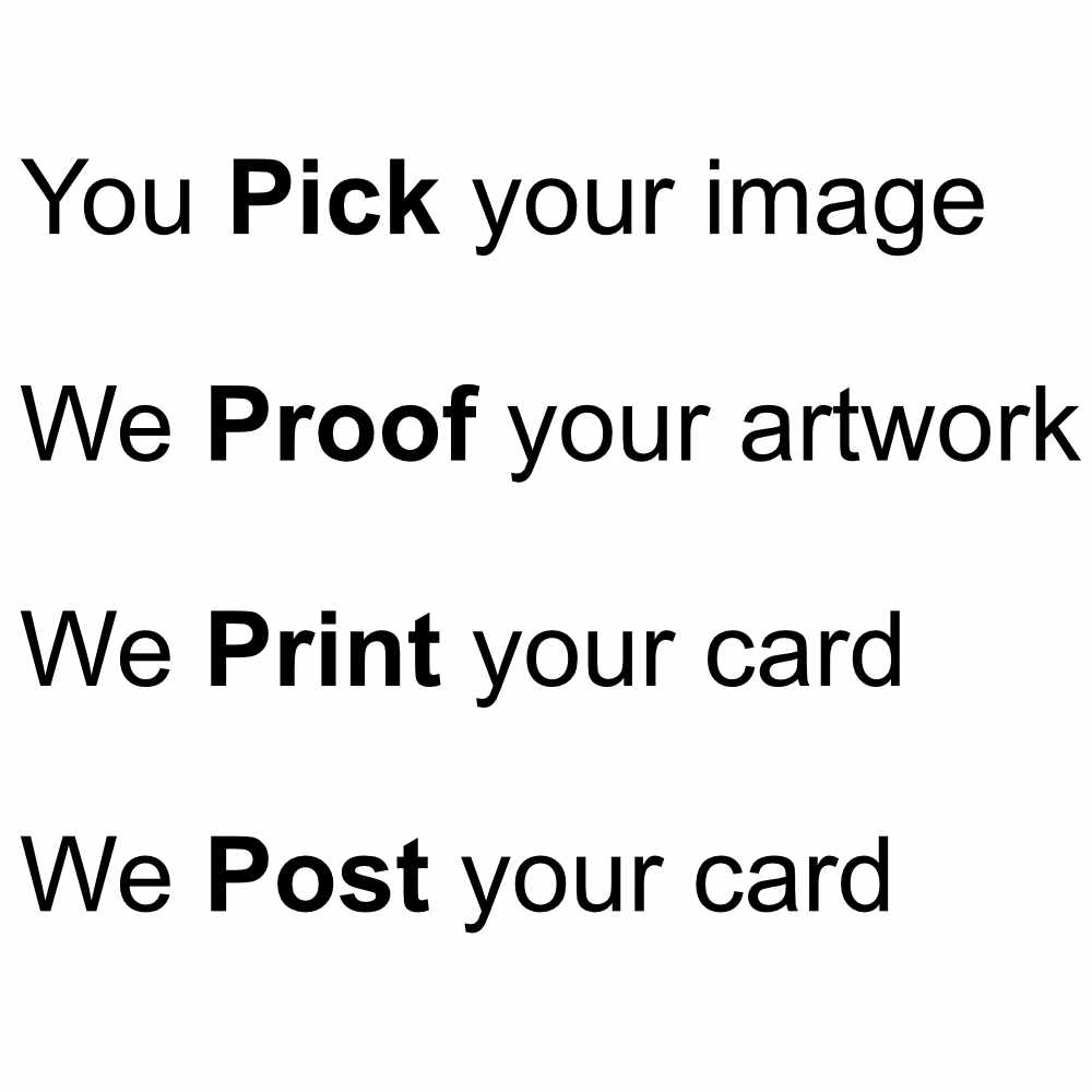 Text on a white background with black text stating services offered.